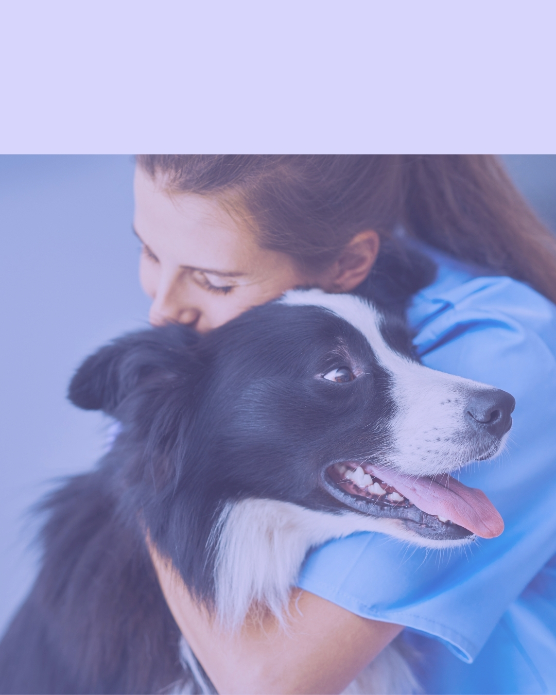 Veterinária - Técnico