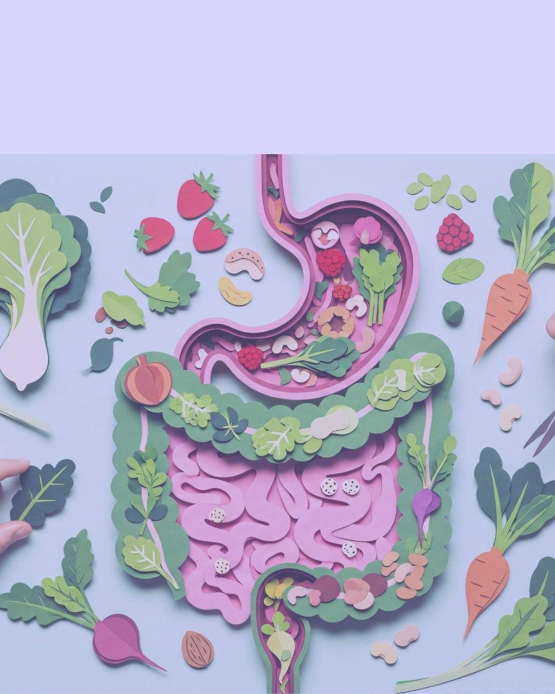 Nutrição e Dietética- Técnico