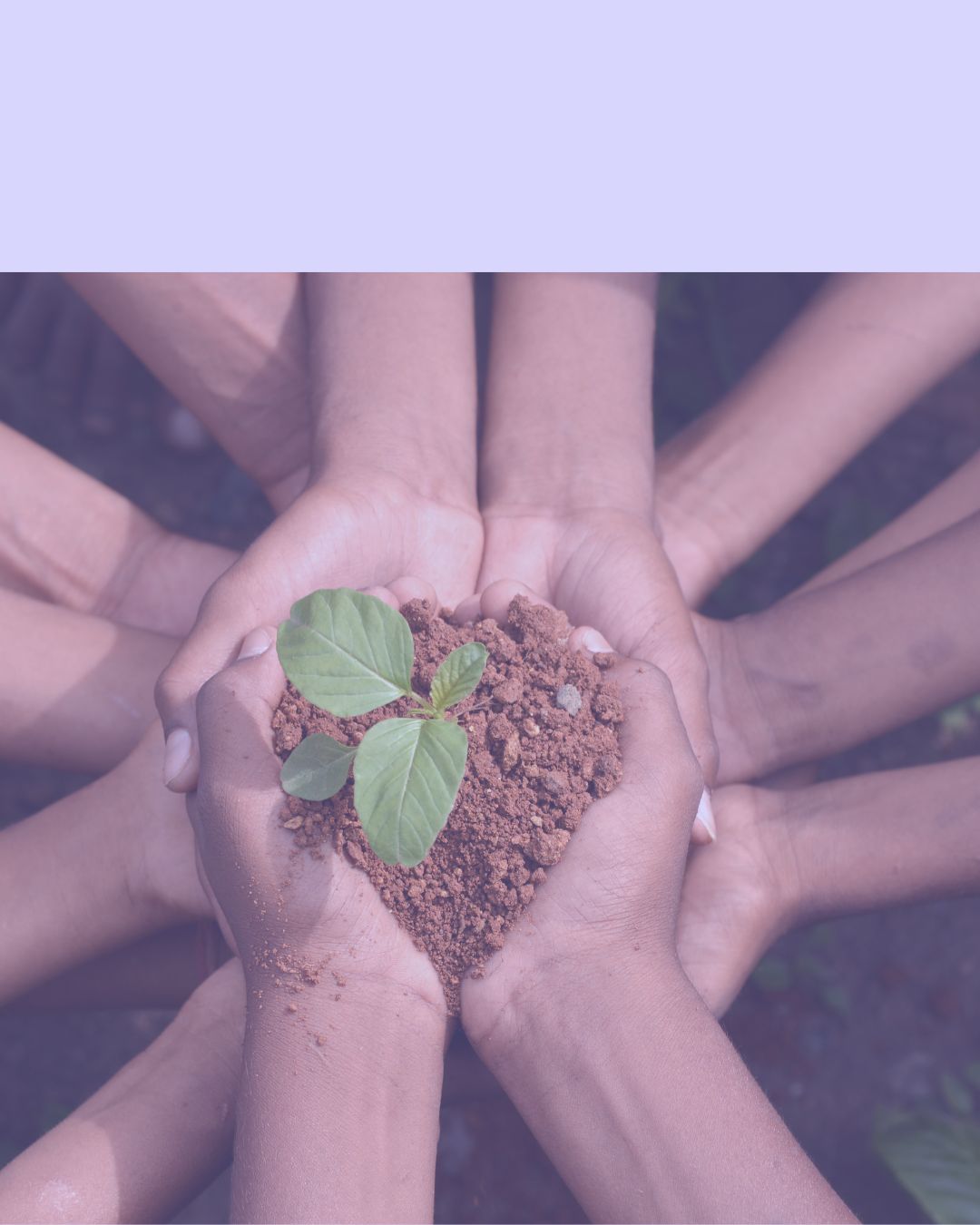 Gestão Ambiental e Práticas Pedagógicas - Pós-Graduação