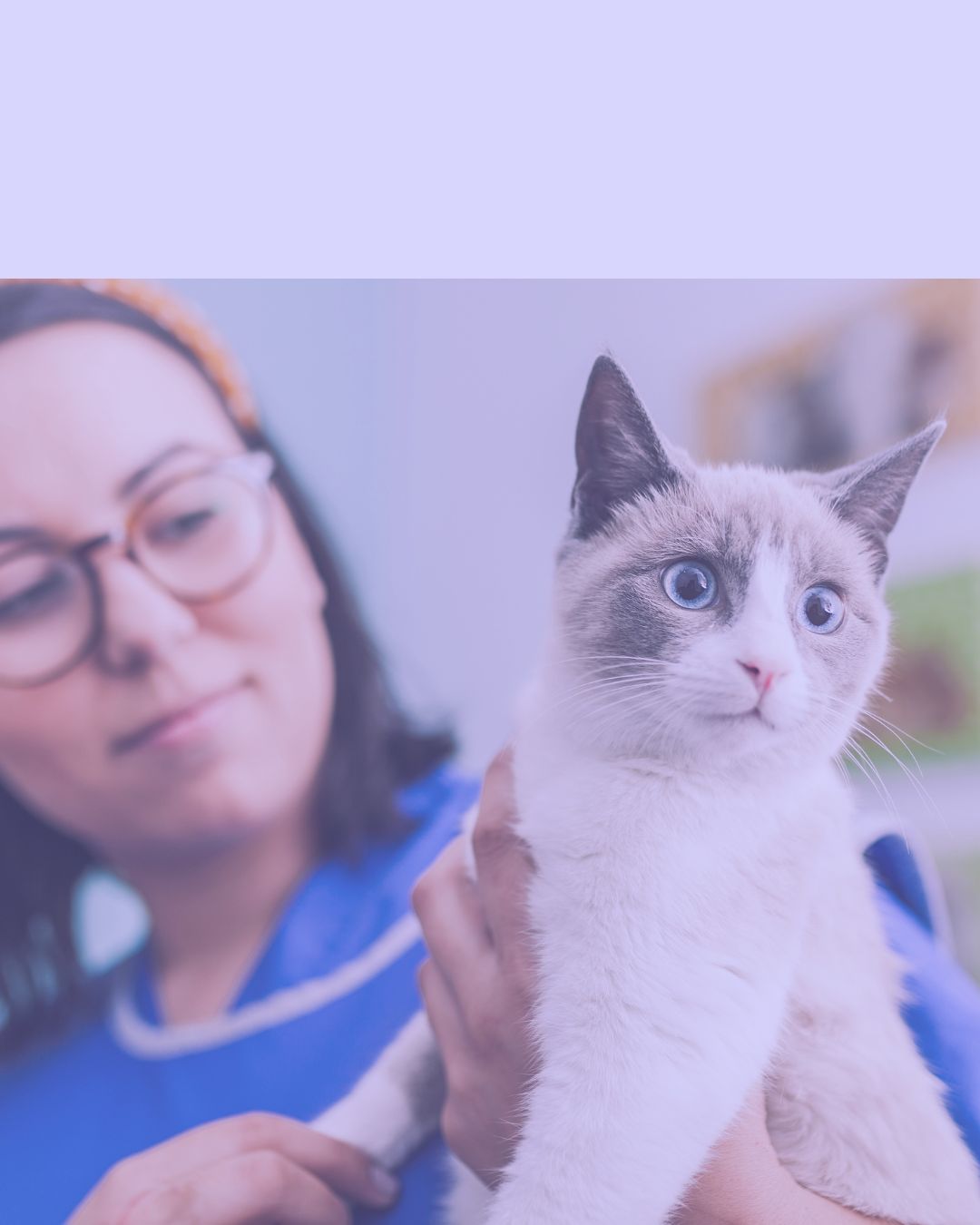 Patologia Cardiorrespiratória dos Animais Domésticos - Pós-Graduação