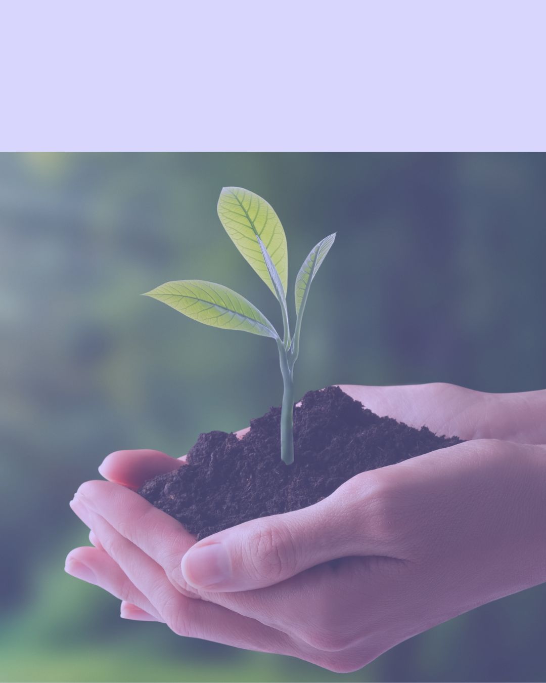 Educação Ambiental e Sustentabilidade - Pós-Graduação