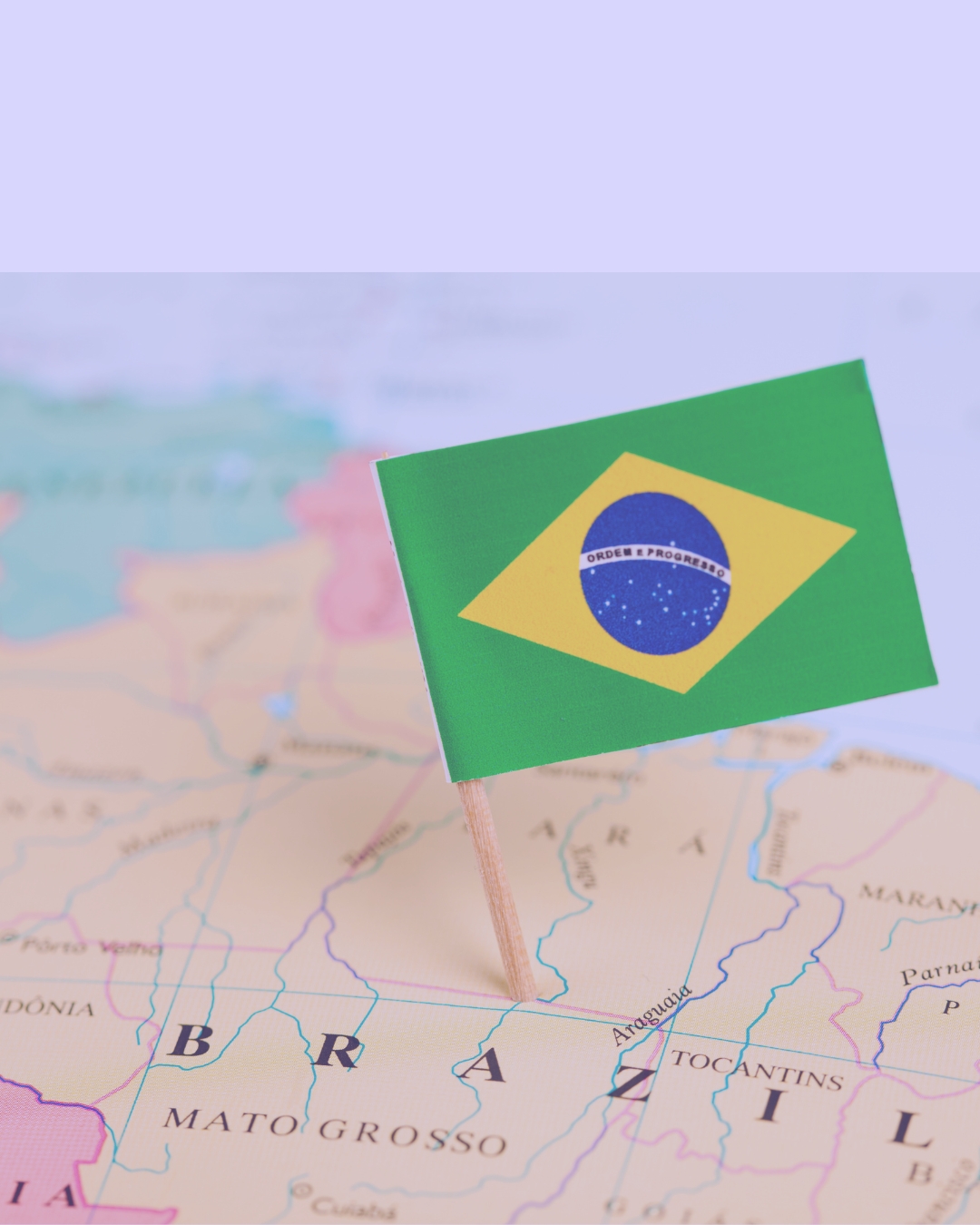 História do Brasil - Pós-Graduação